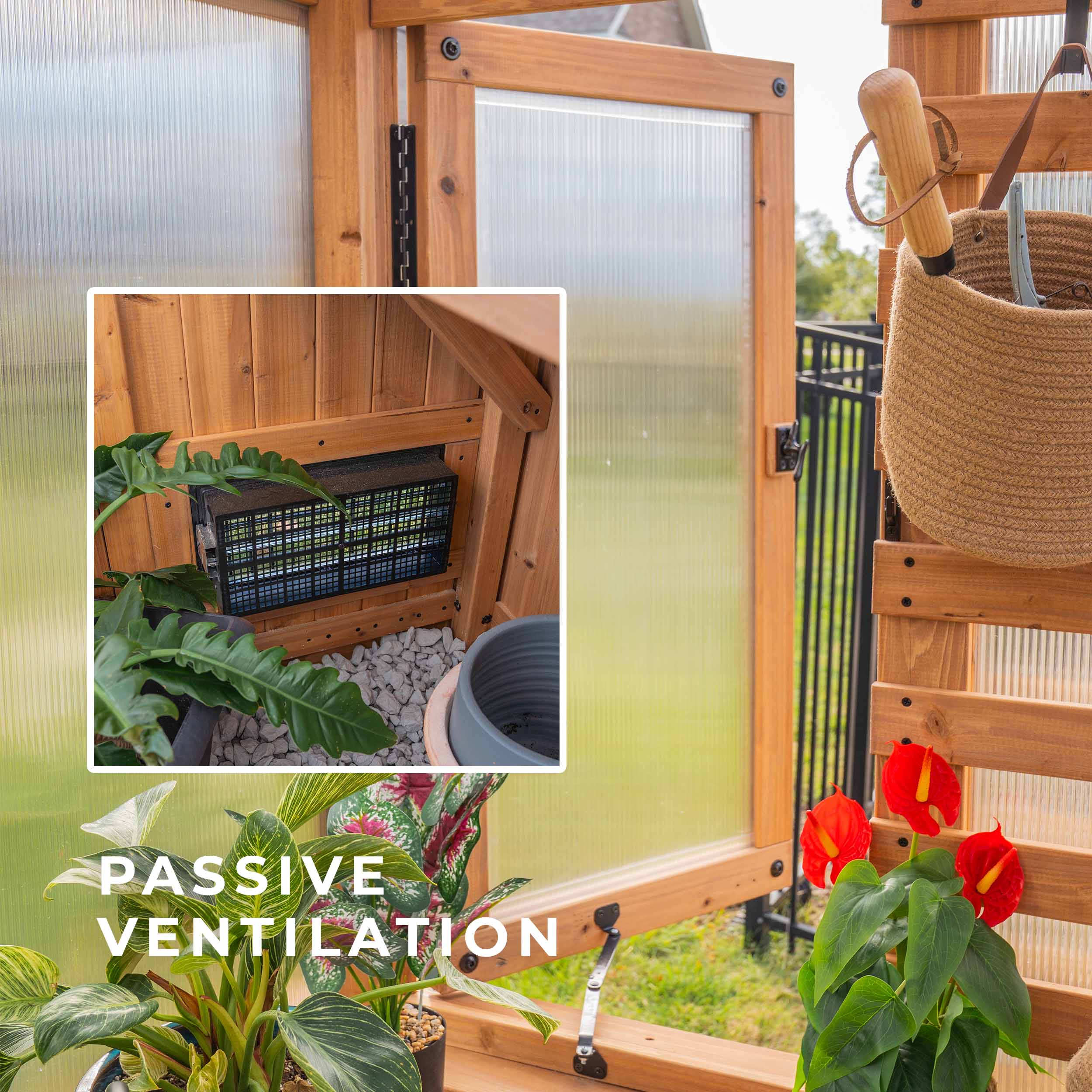 9x6 Willow Greenhouse - Image 8