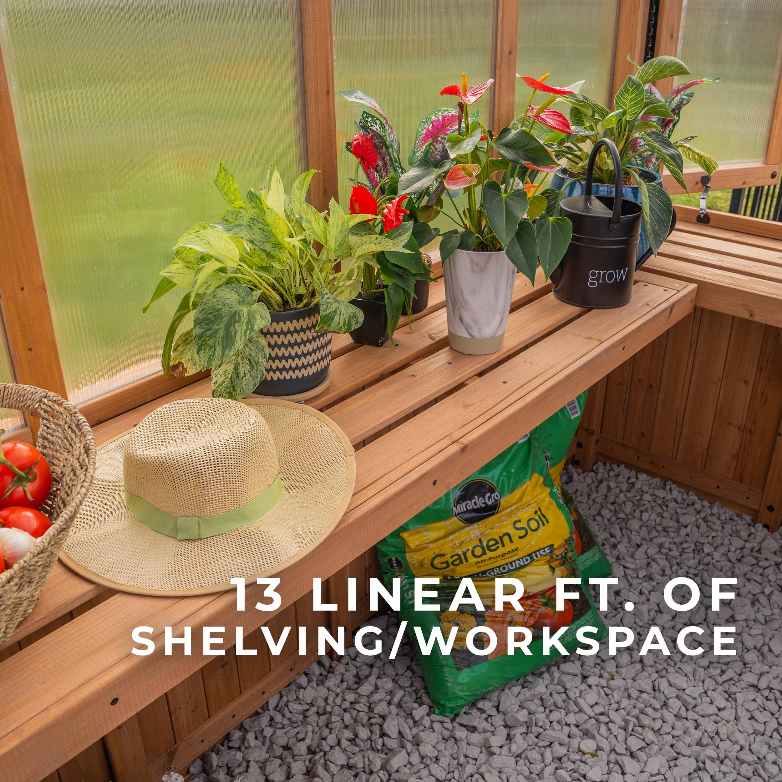 9x6 Willow Greenhouse - Image 10