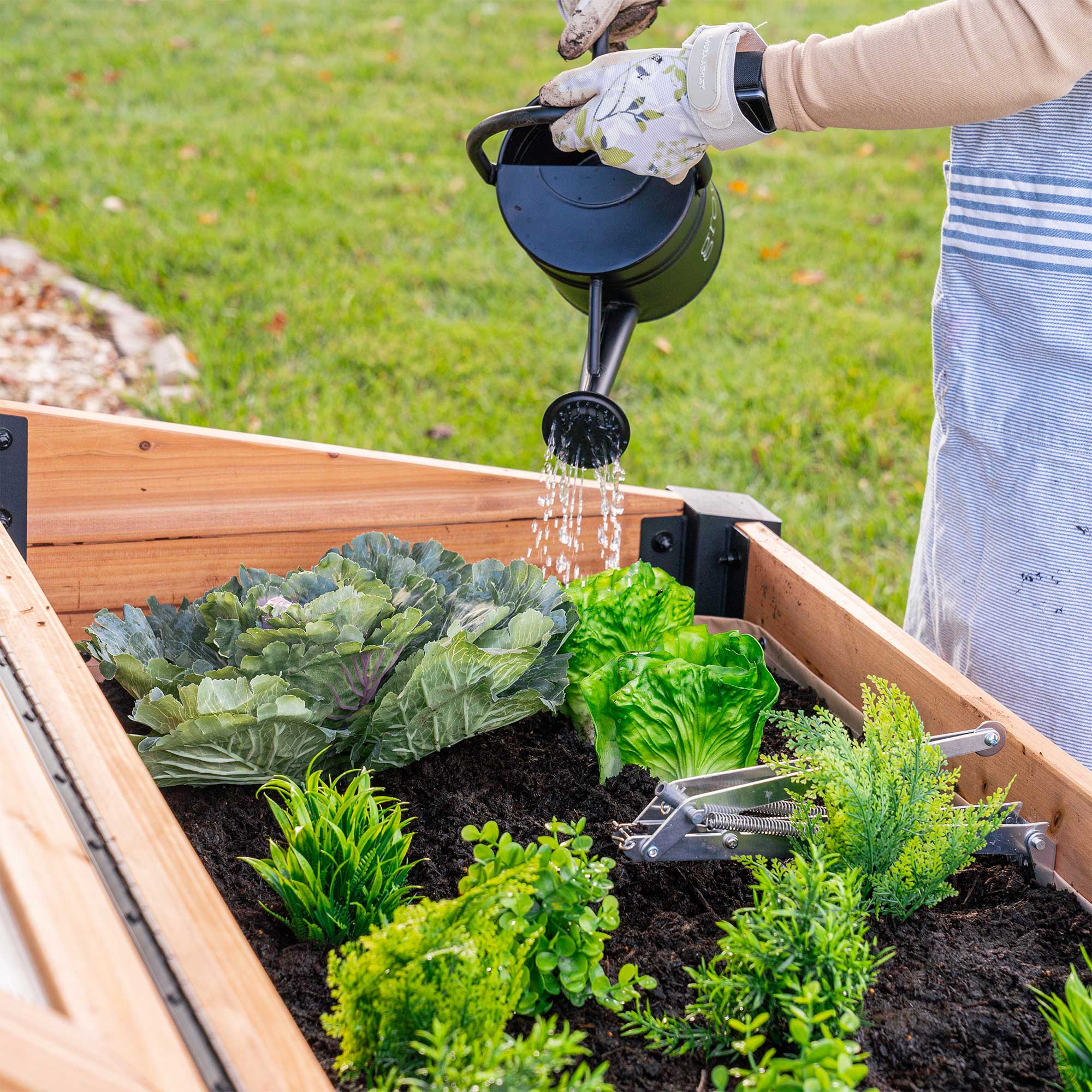 Aggie Cold Frame Box - Image 11